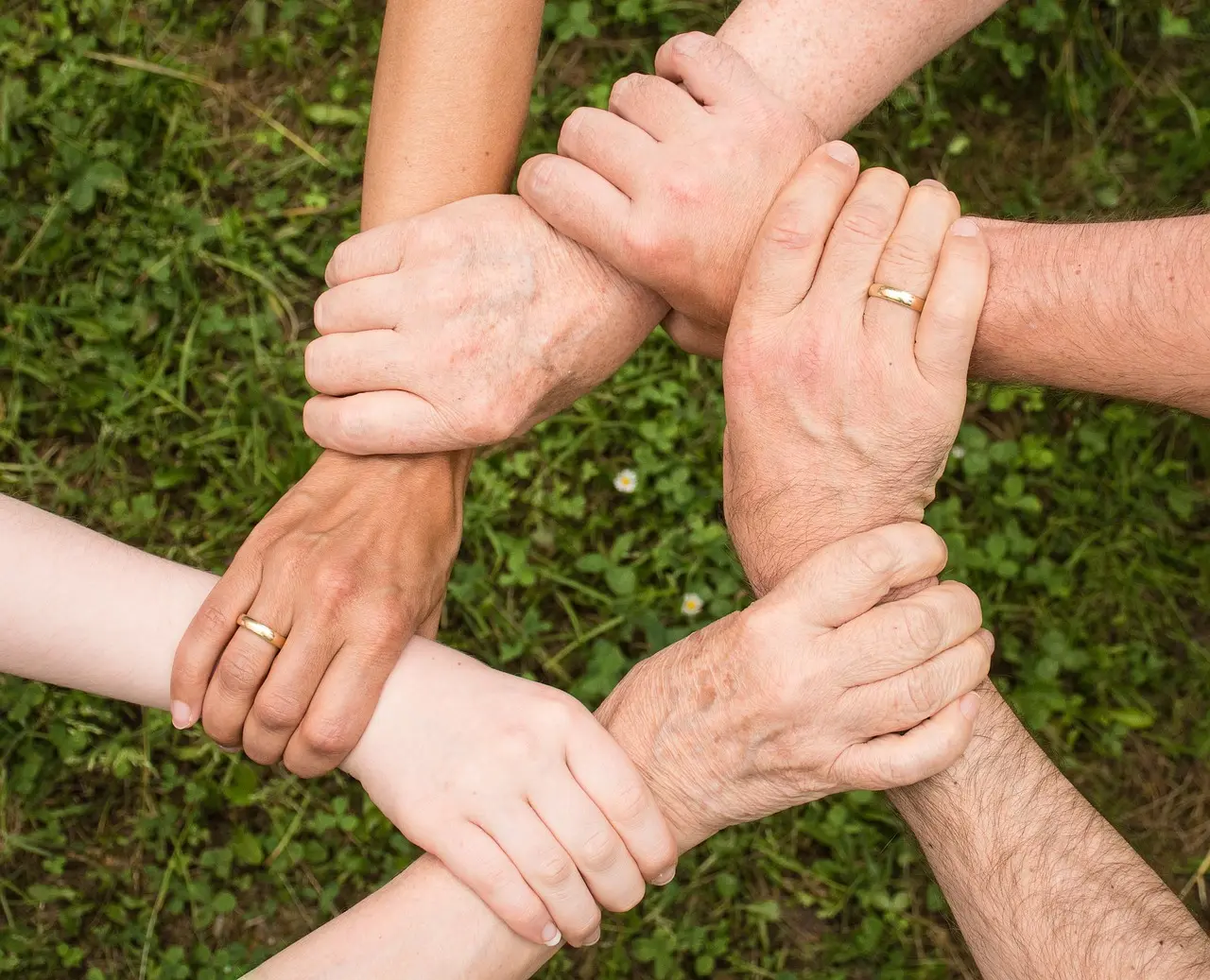 mains qui se serrent au-dessus d'un fond d'herbe